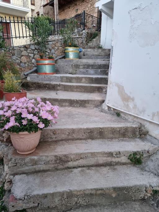 Fotografie z fotogalerie ubytování GS Home v destinaci Gythio