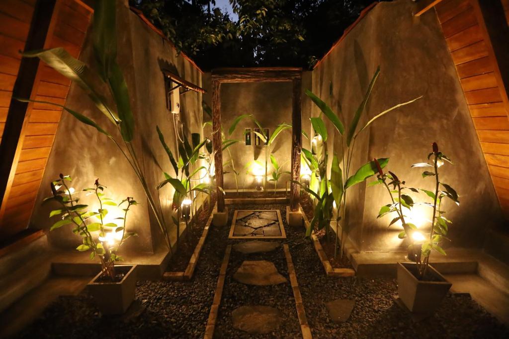 Zahrada ubytování Cinnamon Paradise Cinnamon Room