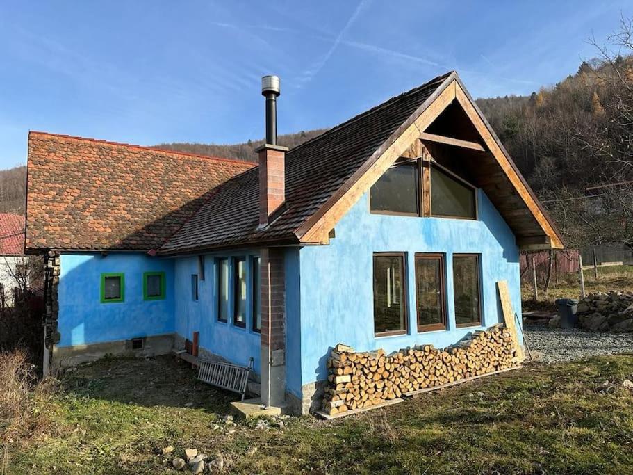 a blue house with a brown roof at Căsuța de Sus in Fîntînele