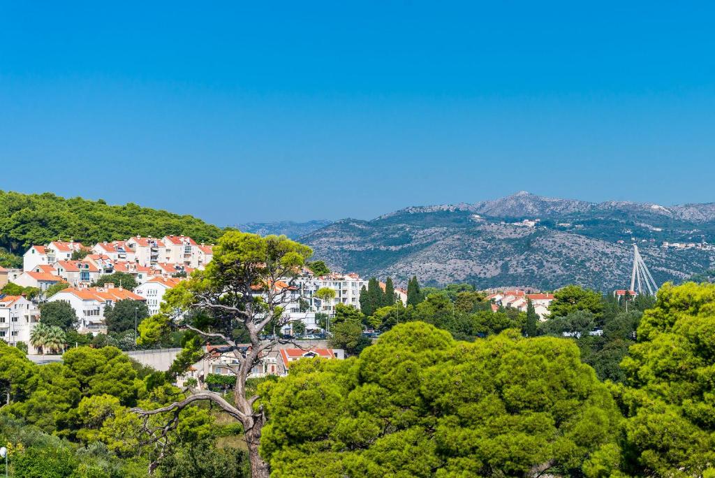 Príroda v okolí apartmánu