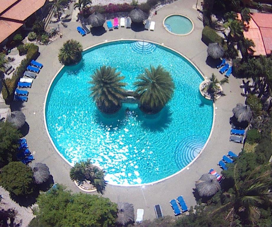 an overhead view of a large swimming pool with palm trees at Kas di BaMi A-194 op Seru Coral Resort - Ruim appartement met groot zwembad en tropische tuin in Willemstad