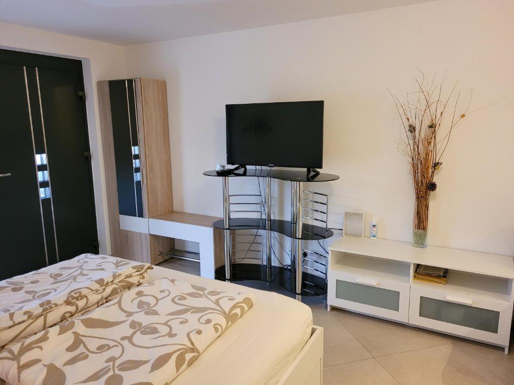 een slaapkamer met een bed en een flatscreen-tv bij Modernes Appartement Mia in Dätzingen