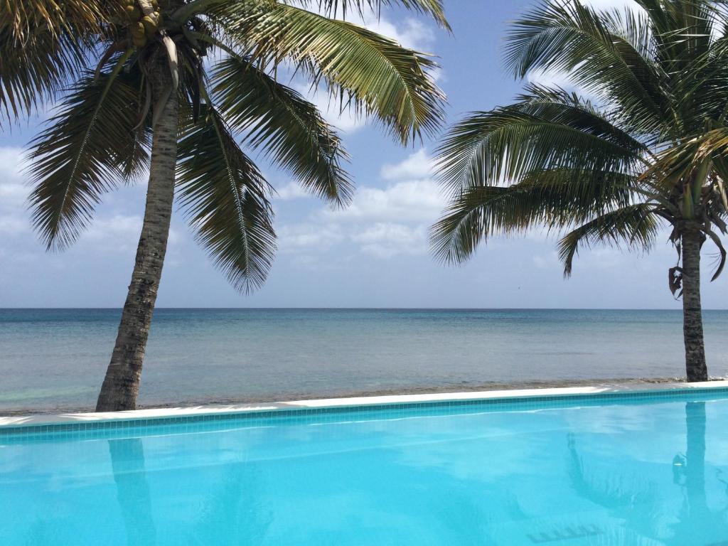 einen Pool mit Palmen und dem Meer in der Unterkunft Bravo Beach Hotel in Vieques