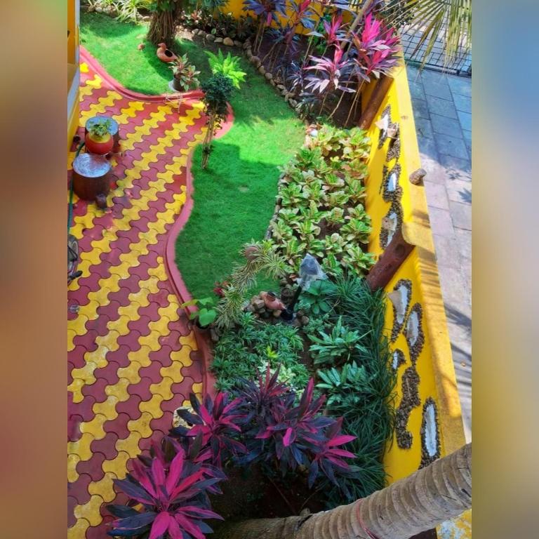 Zahrada ubytování Minria Guest House