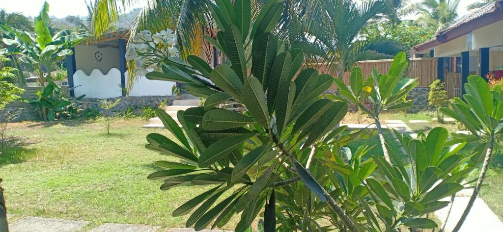 Dewi Garden Guesthouse - 14