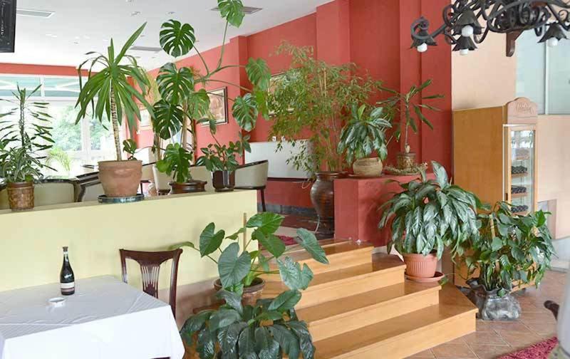 Zahrada ubytování Motel Kneginja