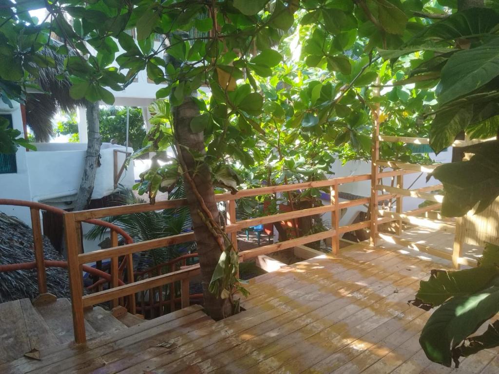 Zahrada ubytování Bambú Ecocabañas