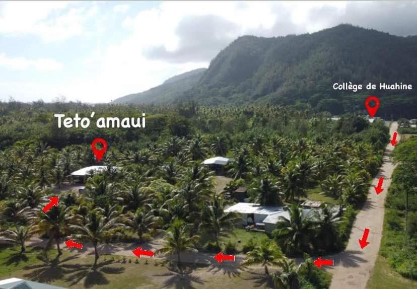 vista su un resort alberato e su una montagna di TETOAMAUI a Fare (Huahine Nui)