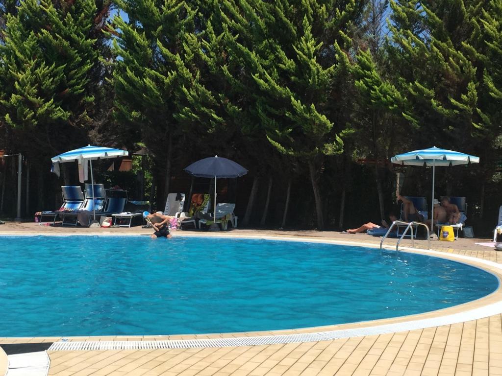 Bazén v ubytování Camping Paradiso nebo v jeho okolí