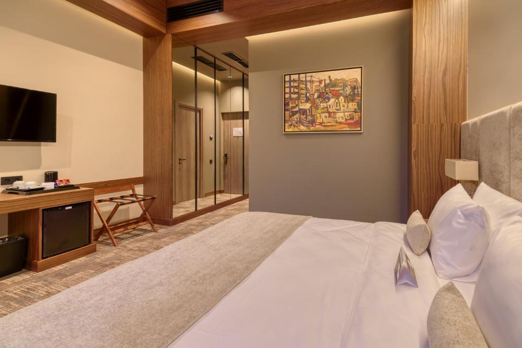 Hayasa Hotel Yerevan - 豪华套房