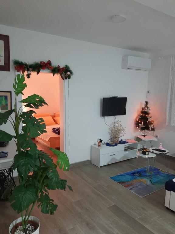 uma sala de estar com uma árvore de Natal e uma televisão em Apartman Jass em Stari Banovci