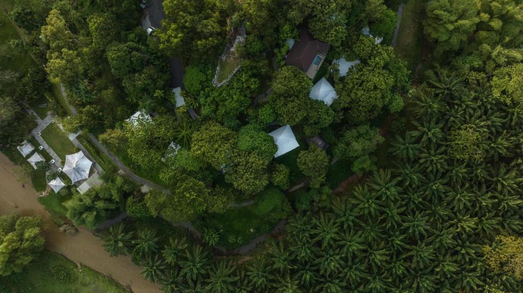 eine Aussicht über einen Wald mit Bäumen und Sträuchern in der Unterkunft Kachonghills Tented Resort Trang in Trang