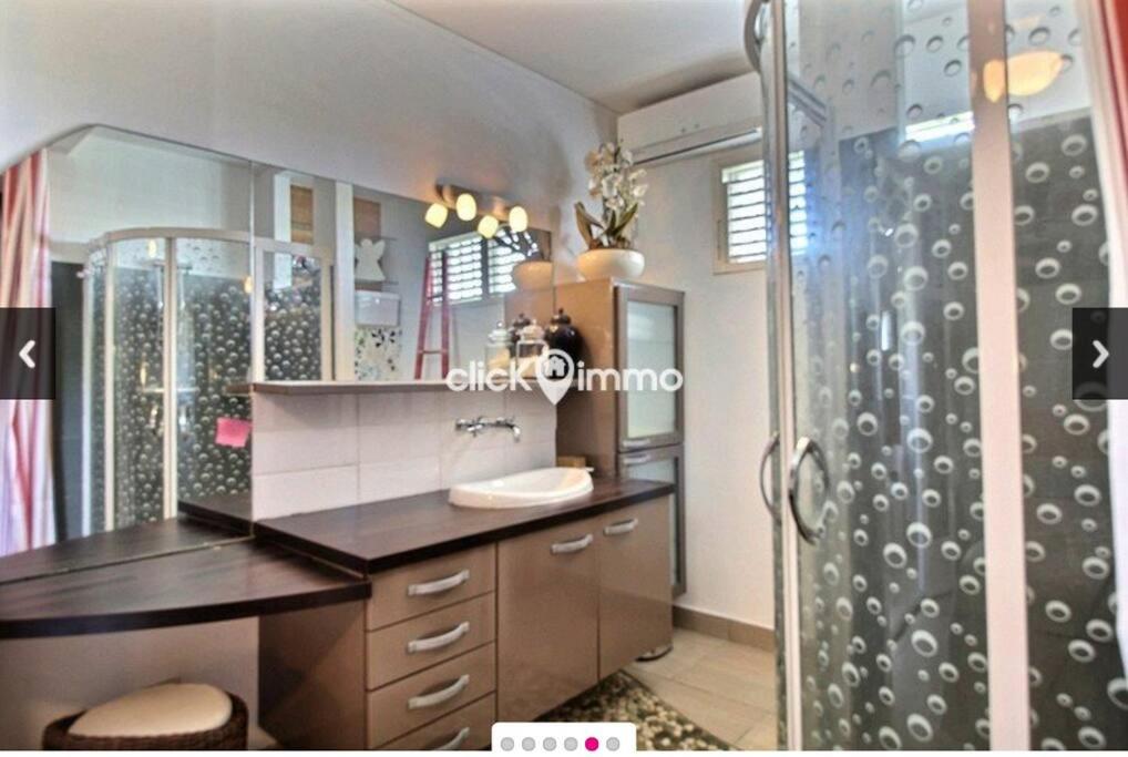 een badkamer met een wastafel en een douche bij Studio cosy au Lamentin in Lamentin