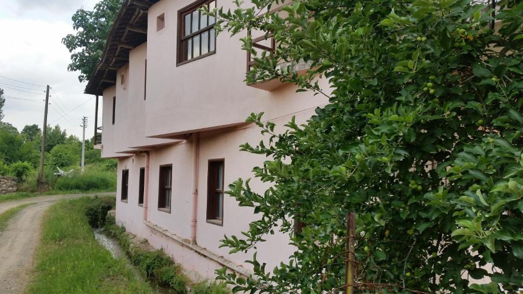 Budova, kde se hostel nachází
