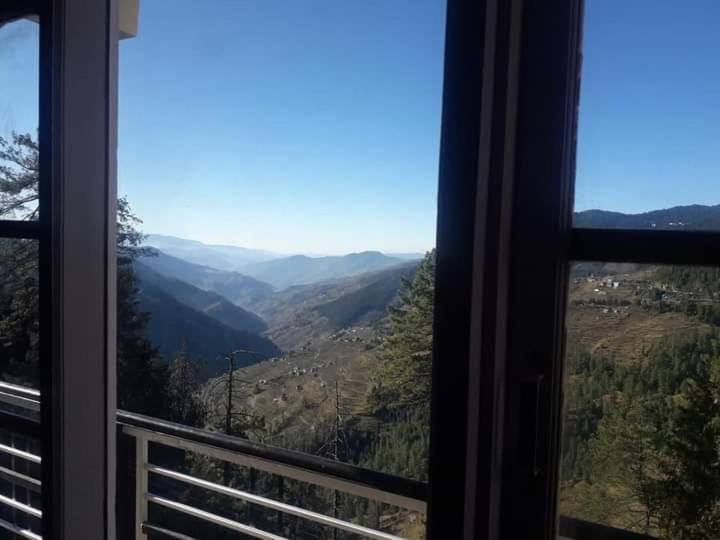 Elle offre une vue sur la vallée depuis sa fenêtre. dans l'établissement Hateshwari Guest House, à Shimla