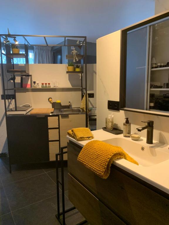 Kuchyň nebo kuchyňský kout v ubytování Guestsuite The Nest