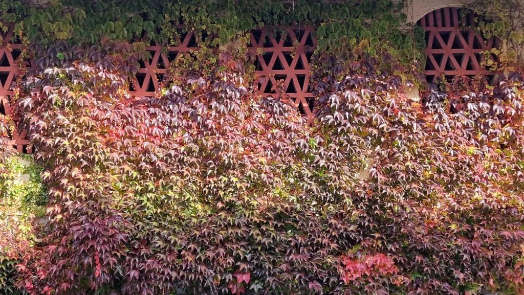 A garden outside Apartment Hans - Wohnen im Herzen des Drautales