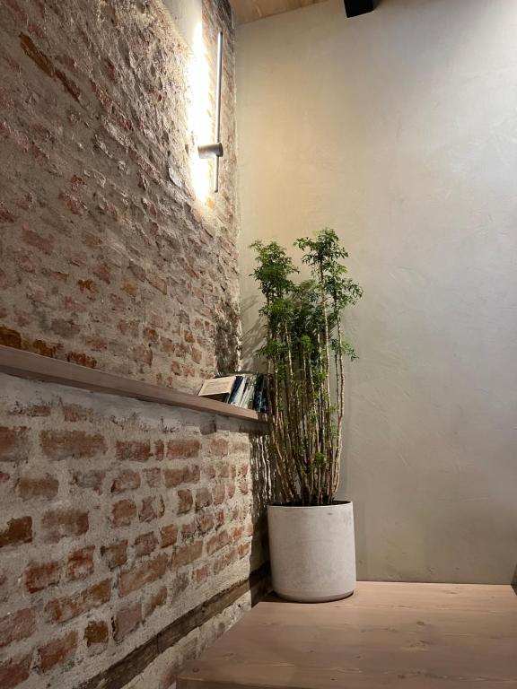 Fotografie z fotogalerie ubytování Faces & Places Boutique Hotel v destinaci Tirana