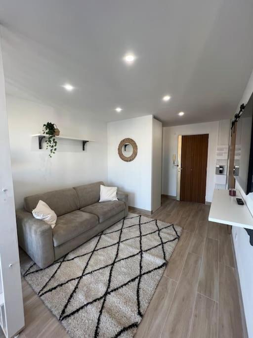 un salon avec un canapé et un tapis dans l'établissement Appartement Centre villes Climatisées Terrasse, à Cagnes-sur-Mer