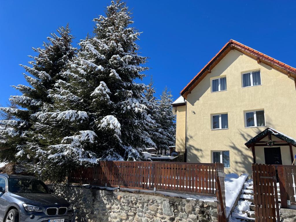 a snow covered christmas tree in front of a house at Cabana Alina in Păltiniş