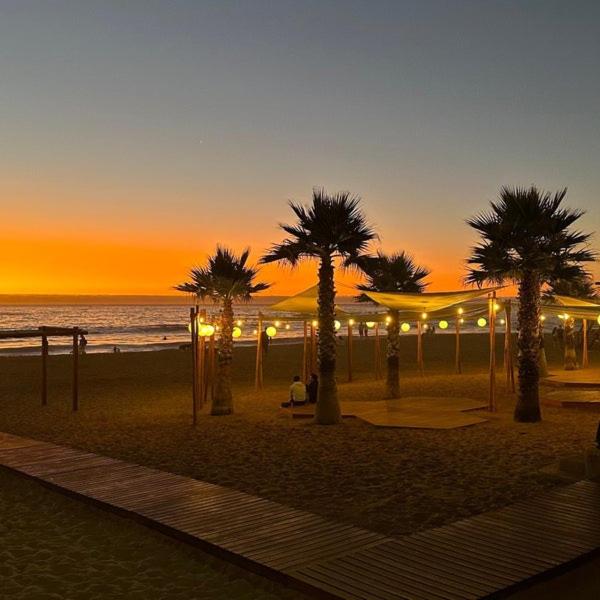 Grupa palm na plaży o zachodzie słońca w obiekcie Departamento Reñaca w mieście Viña del Mar