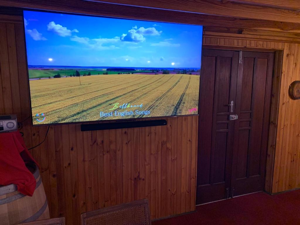 TV a/nebo společenská místnost v ubytování Hotel De Rust