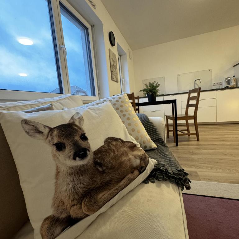 Ein ausgestopftes Tier sitzt auf einer Couch in der Unterkunft Ferienwohnung Auf Der Höll 