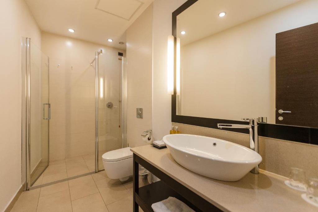 Hotel Timisoara - Resim 43