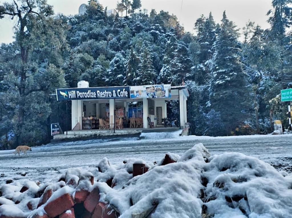 a herd of sheep covered in snow in front of a store at HILL PARADIZÈ couple friendly in Mussoorie