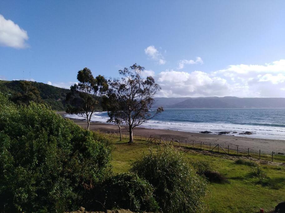 two trees on a beach near the ocean at Cabaña a metros de la playa San Ignacio, Niebla in Valdivia