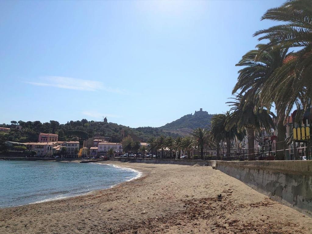 a sandy beach with palm trees and the ocean at 5COMA2 Appartement proche plage in Collioure