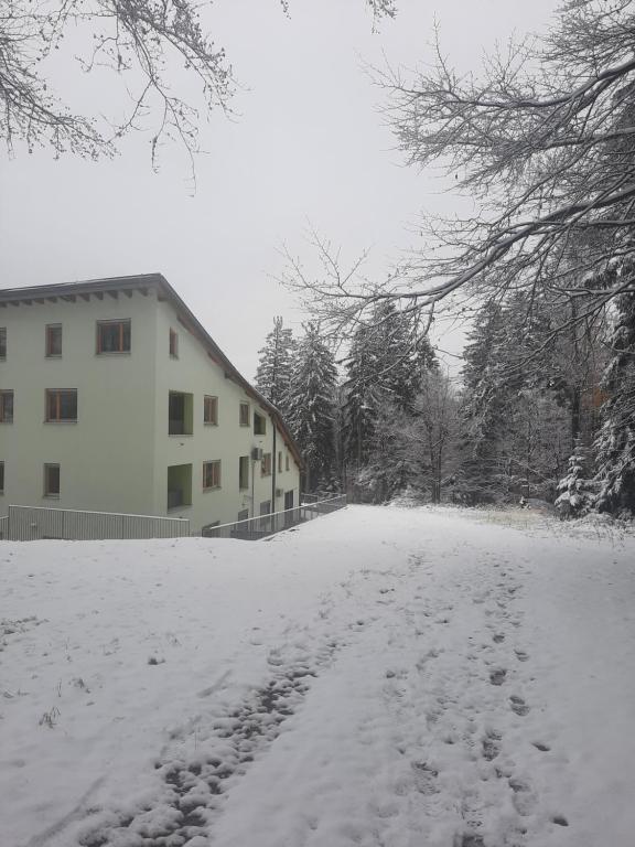 Apartment - Golden Fox 18 - Pohorske terase v zimě