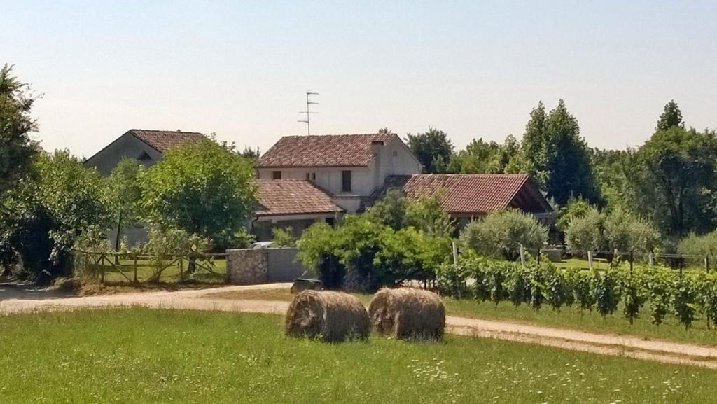 a group of sheep grazing in a field in front of a house at Il giuggiolo in Conegliano