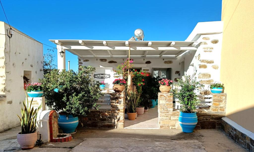 a group of potted plants inront of a building at Vintage House Naxos in Glinado Naxos