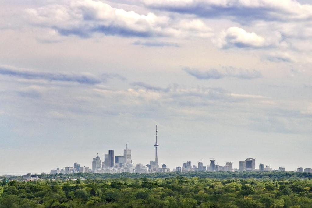 Pan Pacific Toronto - Resim 30