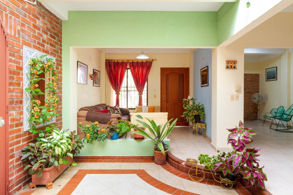 a living room filled with lots of potted plants at Hostal Cartagonova - Habitaciones privadas y amplias cerca a zonas turísticas in Cartagena de Indias