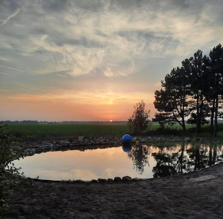 uma piscina de água com um pôr-do-sol ao fundo em Eesergroen aan zee em Eesergroen