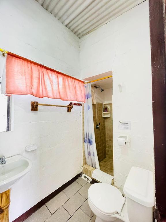 Koupelna v ubytování Hostal Darwin