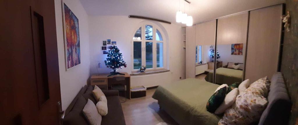 a living room with a christmas tree and a couch at Apartament Meluzyna in Puck