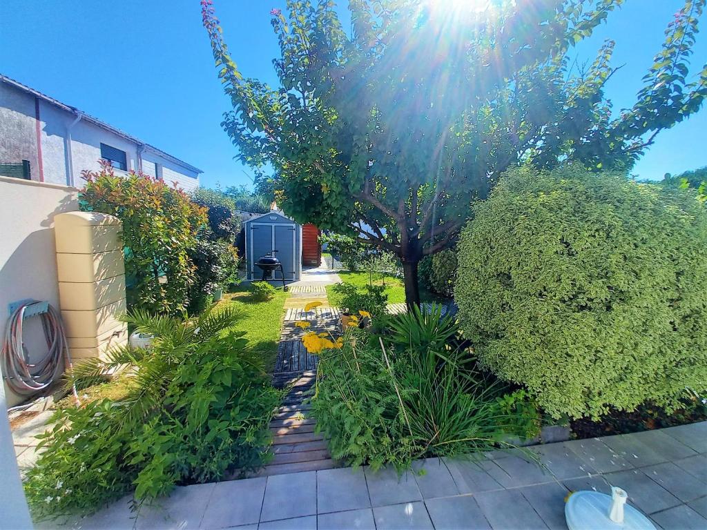 un jardín con un árbol y algunos arbustos en Saint Georges de Didonne - PETITE MAISON avec son petit coin de paradis extérieur en Saint-Georges-de-Didonne