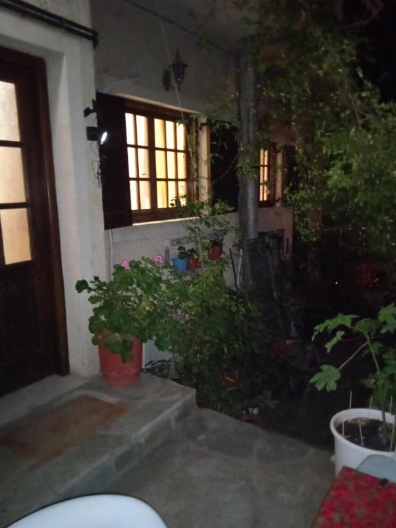 Κήπος έξω από το art studio