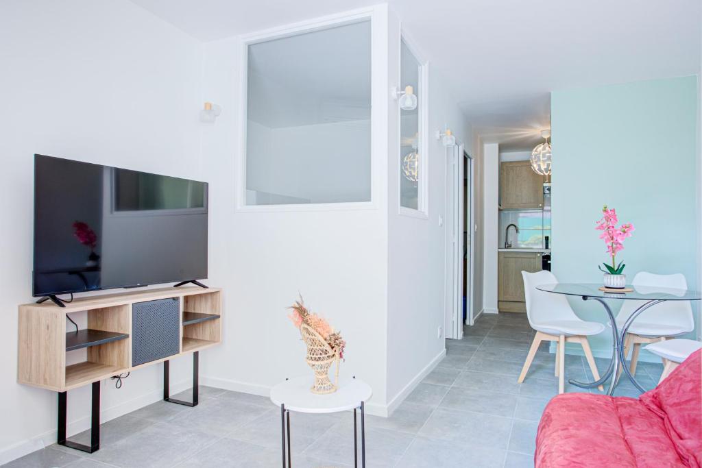 TV a/nebo společenská místnost v ubytování Appartement T2 moderne avec terrasse clim parking et wifi - 4ALB3