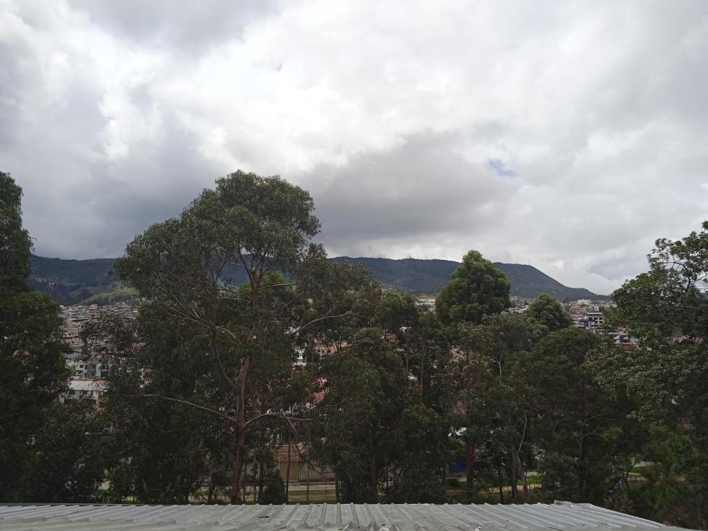 a view of a city with trees and mountains at Syj in Loja