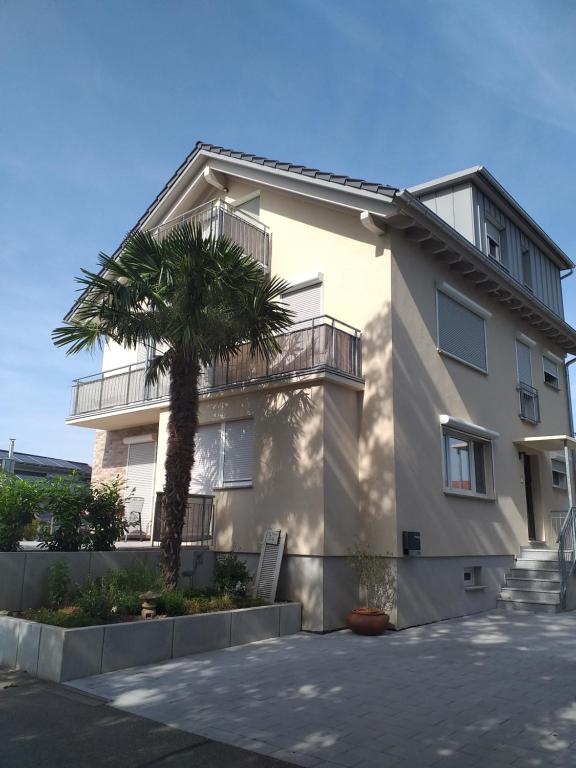 a building with a palm tree in front of it at Kleine Auszeit in Rust