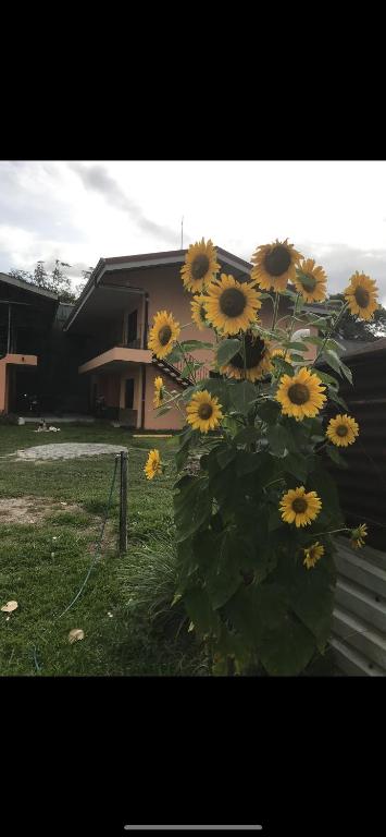 Zahrada ubytování Sky Hostel
