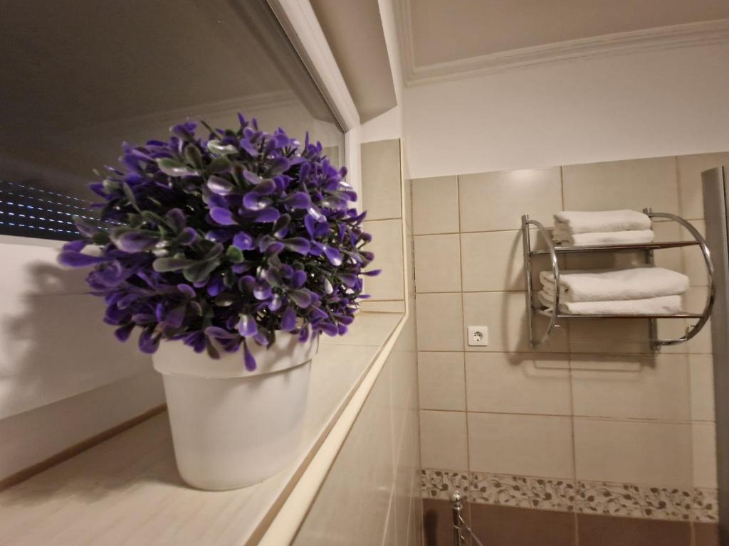 Fotografia z galérie ubytovania Centrum Business Apartman Szekszárd v destinácii Szekszárd