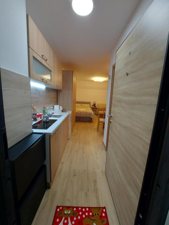 Köök või kööginurk majutusasutuses Apartman SANJALICA Divčibare