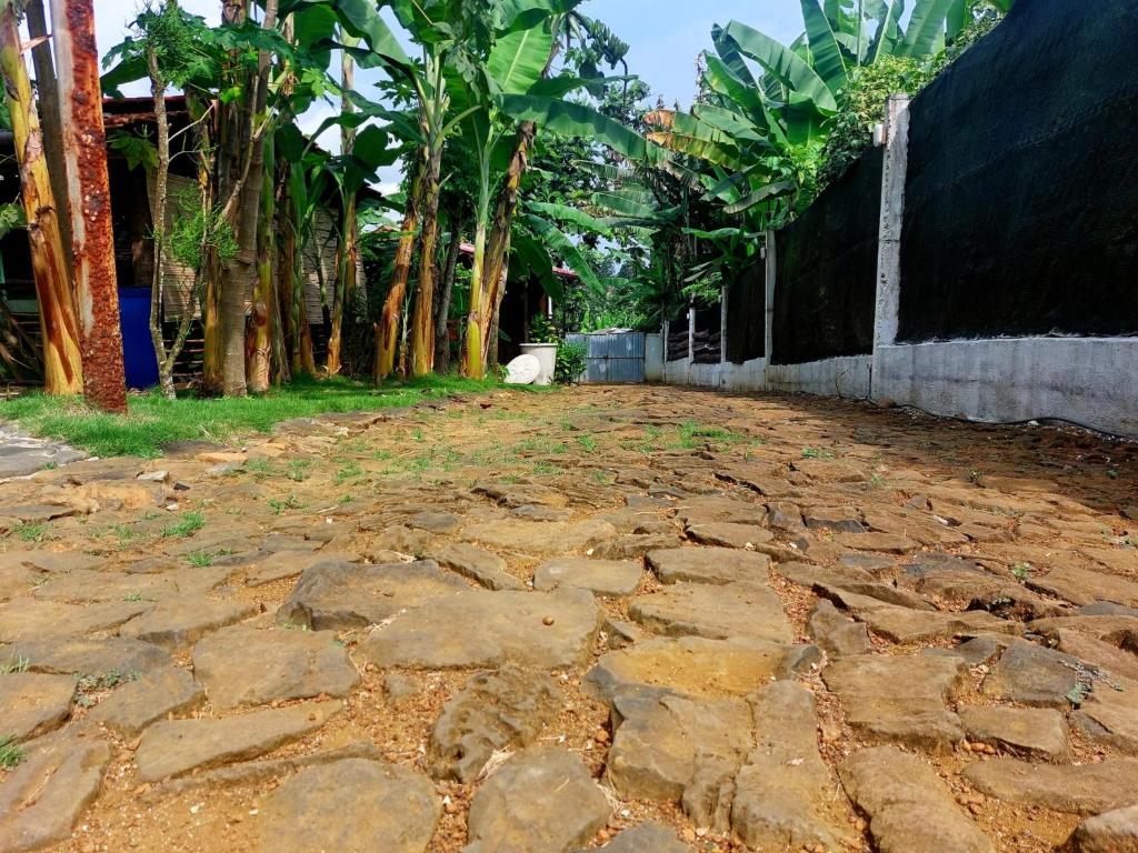 Fotografie z fotogalerie ubytování GENTE D'AQUI Ngê D'ai êê v destinaci São Tomé