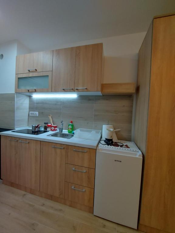 Köök või kööginurk majutusasutuses Apartman SANJALICA Divčibare