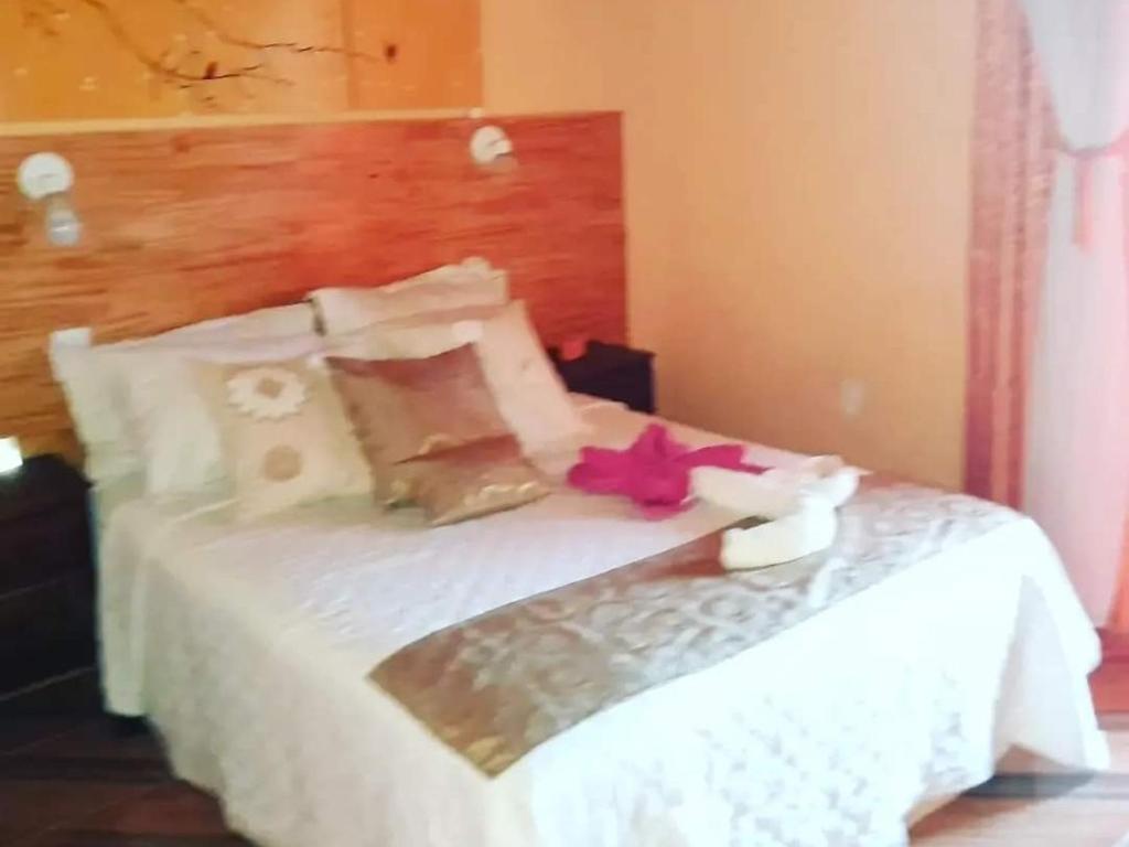 a white bed with a pink flower on it at Hostel Damaris in Puerto Iguazú